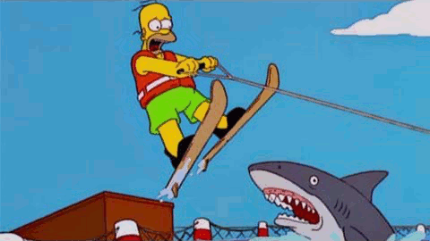 Jumping the shark